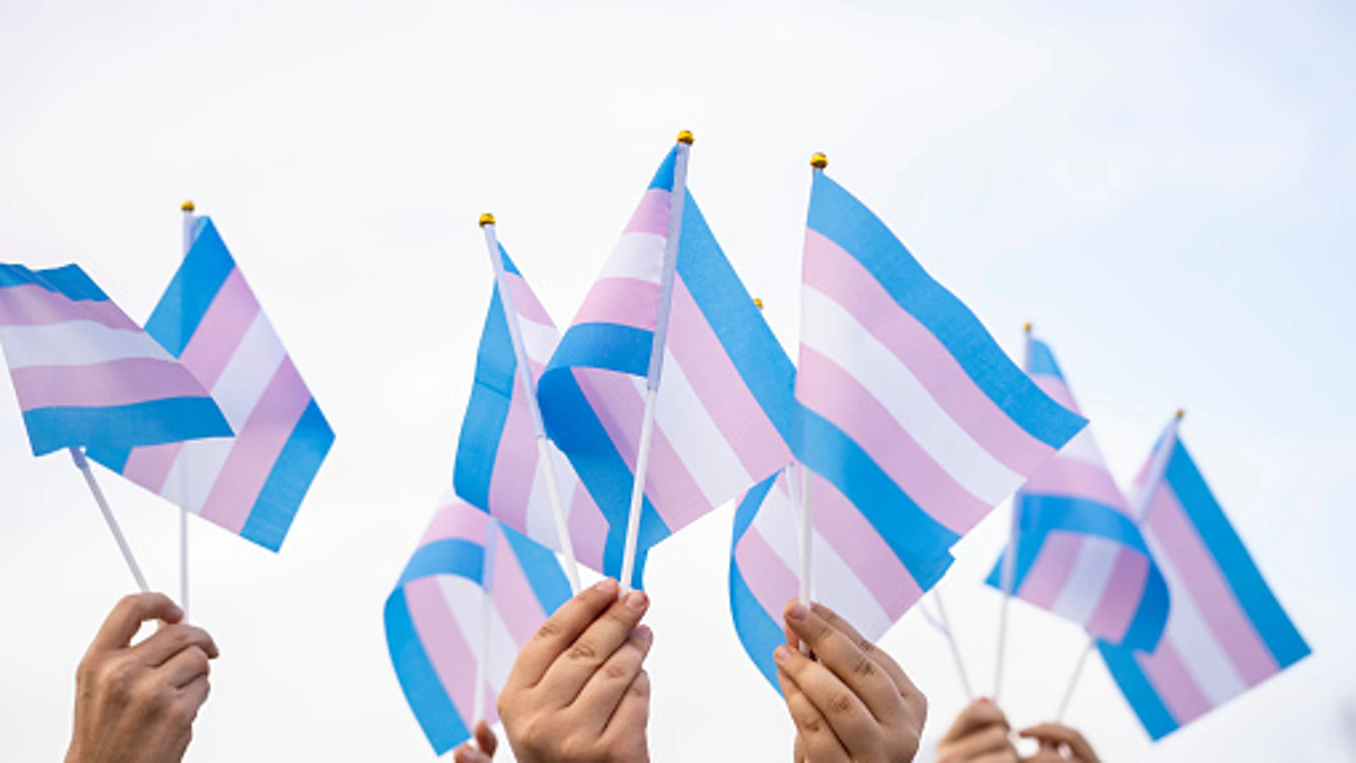 Imagen de recurso de banderas trans