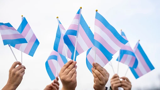 Imagen de recurso de banderas trans Imagen de recurso de banderas trans