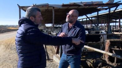 Estiércol que vale su peso en oro: una granja de Lleida produce gas natural a partir de los deshechos de sus vacas
