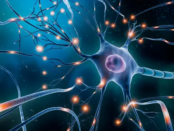 Inteligencia artificial y redes neuronales Inteligencia artificial y redes neuronales