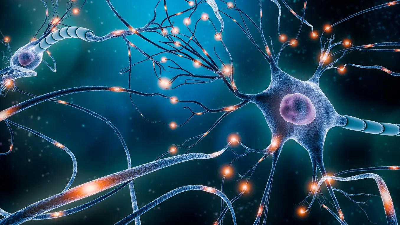 Inteligencia artificial y redes neuronales Inteligencia artificial y redes neuronales