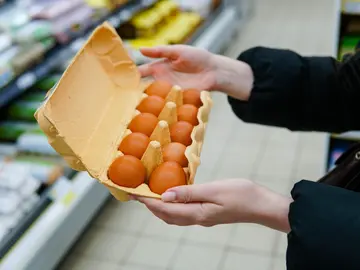 Huevos Huevos