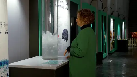 ¿Debemos taparnos y sudar si tenemos fiebre? ¿Debemos taparnos y sudar si tenemos fiebre?