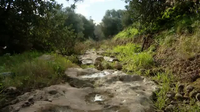 La escasez de agua podr&iacute;a provocar una situaci&oacute;n "cr&iacute;tica" en las Baleares 
