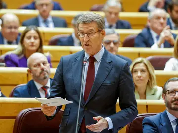 Alberto Núñez Feijóo, líder del PP, en el Senado Alberto Núñez Feijóo, líder del PP, en el Senado