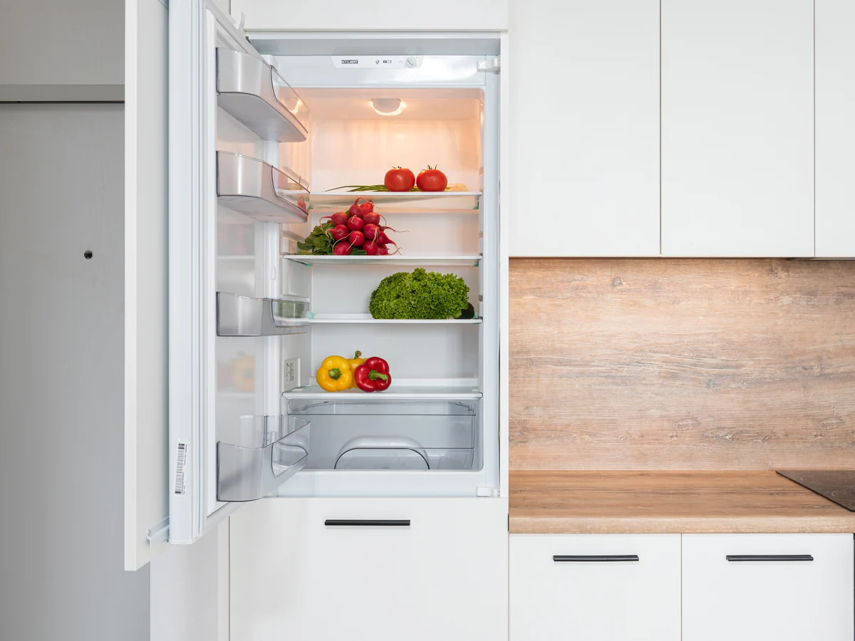 Estos son los frigoríficos más eficientes y baratos con los que ahorrar  hasta 444 euros en la factura de la luz, según la OCU