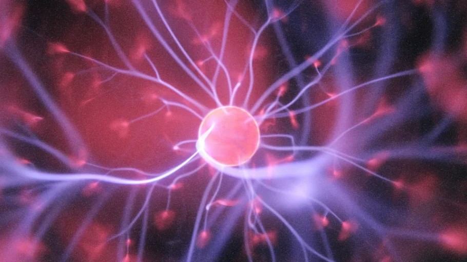 Neurona