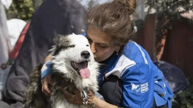 Aleks, el perro rescatado en Turqu&iacute;a