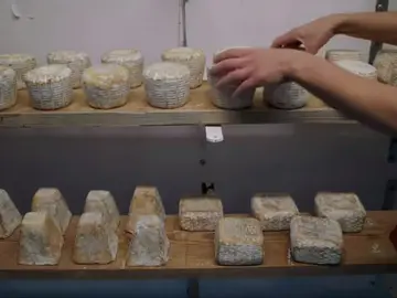 La vida de una mujer en medio de cabras, quesos y naturaleza La vida de una mujer en medio de cabras, quesos y naturaleza