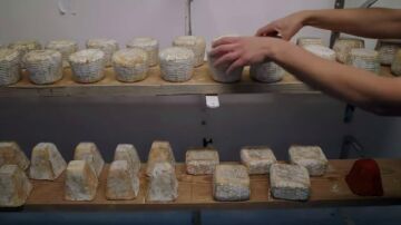 La vida de una mujer en medio de cabras, quesos y naturaleza