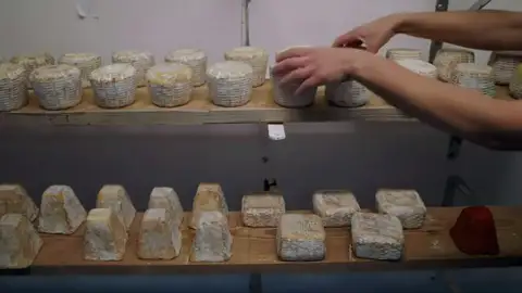 La vida de una mujer en medio de cabras, quesos y naturaleza La vida de una mujer en medio de cabras, quesos y naturaleza