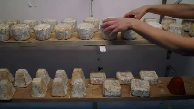 La vida de una mujer en medio de cabras, quesos y naturaleza