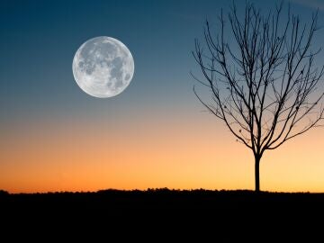 Imagen de la Luna llena al anochecer