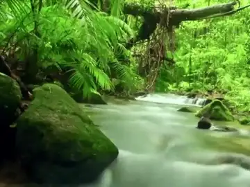 ¿Por qué se celebra hoy el Día Mundial del Agua? ¿Por qué se celebra hoy el Día Mundial del Agua?