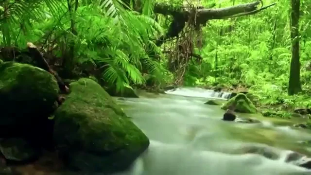 &iquest;Por qu&eacute; se celebra hoy el D&iacute;a Mundial del Agua?
