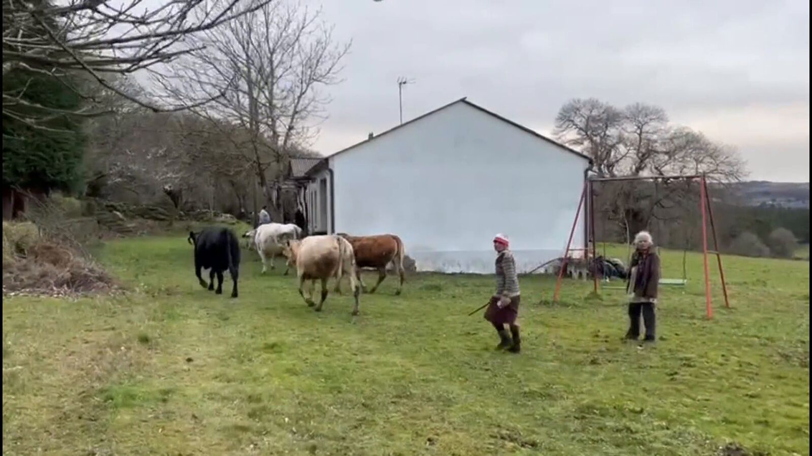 Más de doce años amenazada por sus primas por un prado en Poutomillos: 