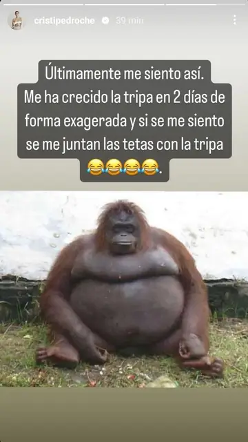 Cristina Pedroche embarazo Cristina Pedroche embarazo
