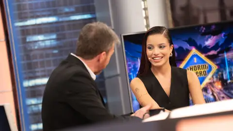 Emilia descubre a qué se dedicaría si no le hubiese ido bien en la música Emilia descubre a qué se dedicaría si no le hubiese ido bien en la música