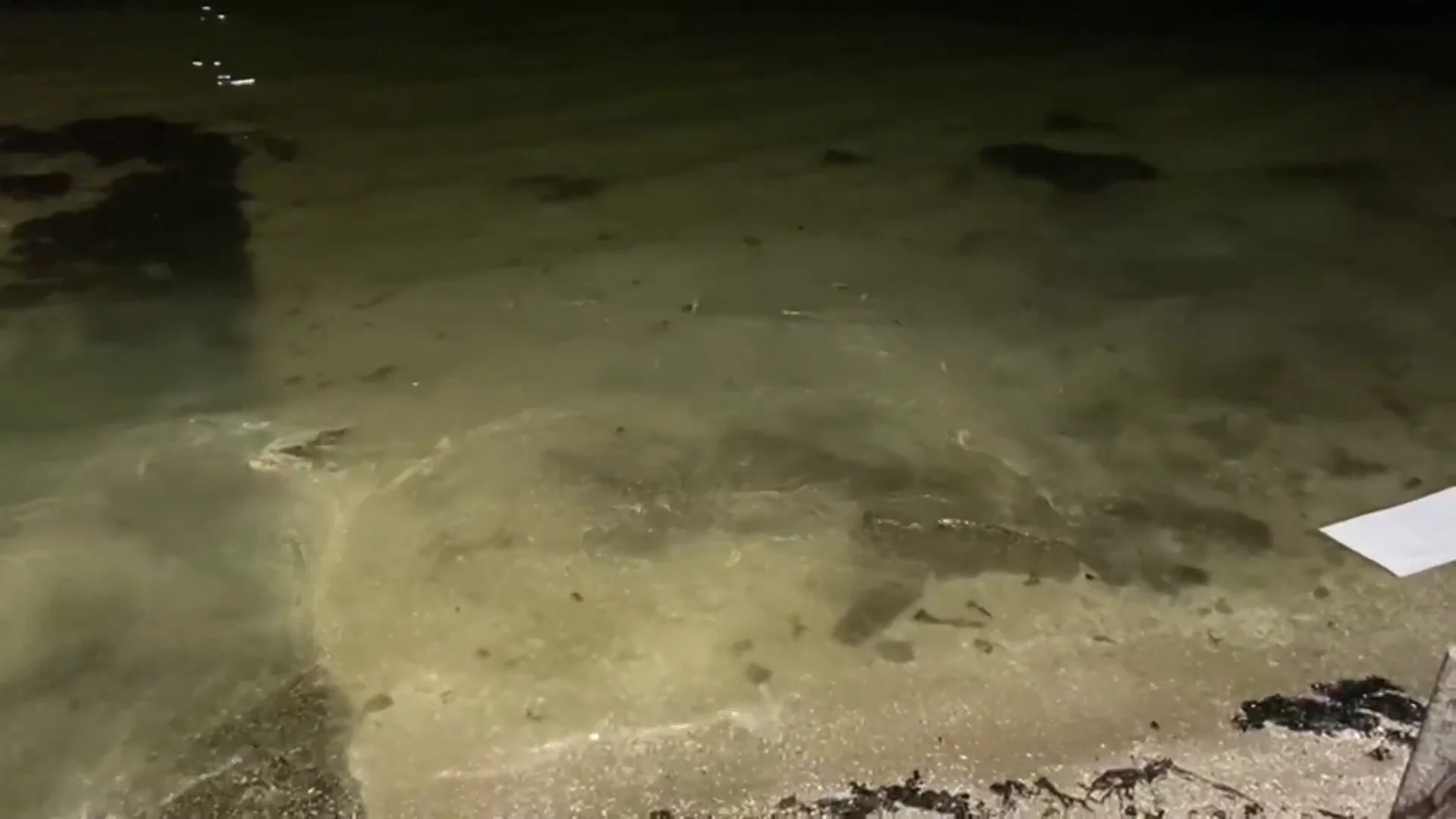 Detectan una enorme mancha de gasoil en la playa de A Compostela Detectan una enorme mancha de gasoil en la playa de A Compostela