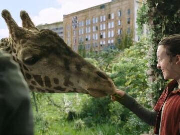 Bella Ramsey con la jirafa en 'The Last of Us'