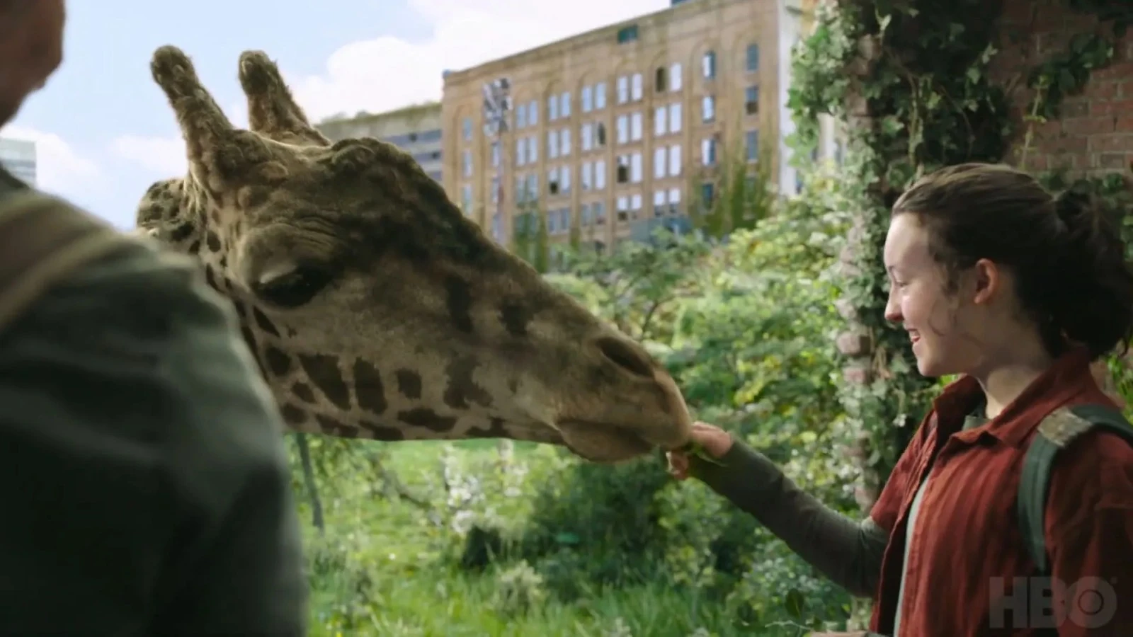 Bella Ramsey con la jirafa en 'The Last of Us' Bella Ramsey con la jirafa en 'The Last of Us'