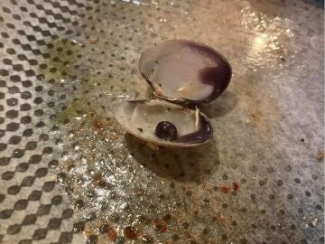 Perla encontrada en un restaurante de Muxía (A Coruña)