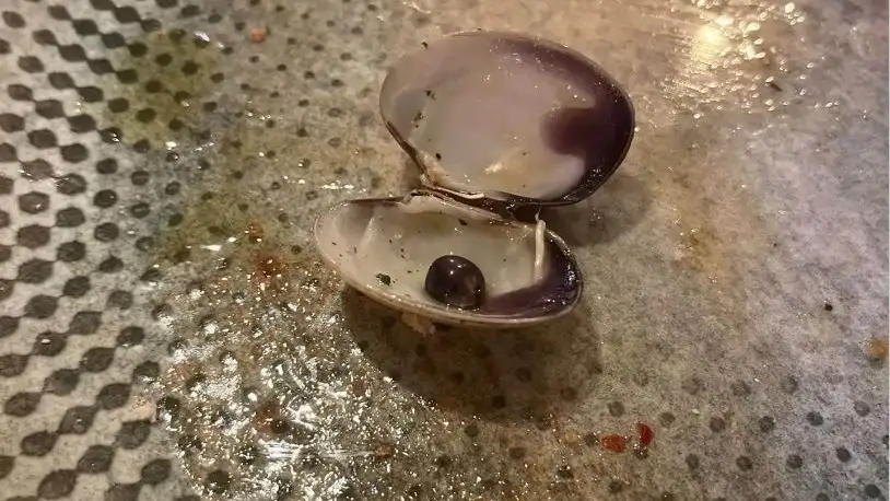 Perla encontrada en un restaurante de Muxía (A Coruña) Perla encontrada en un restaurante de Muxía (A Coruña)