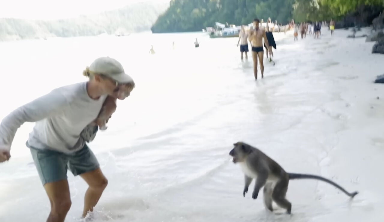 Monos salvajes atacan a una familia australiana
