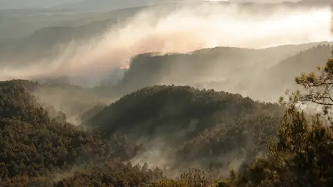 Imagen del incendio de Castellón Imagen del incendio de Castellón