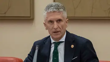 El ministro del Interior, Fernando Grande-Marlaska El ministro del Interior, Fernando Grande-Marlaska
