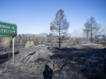 Zona calcinada por el incendio de Castellón