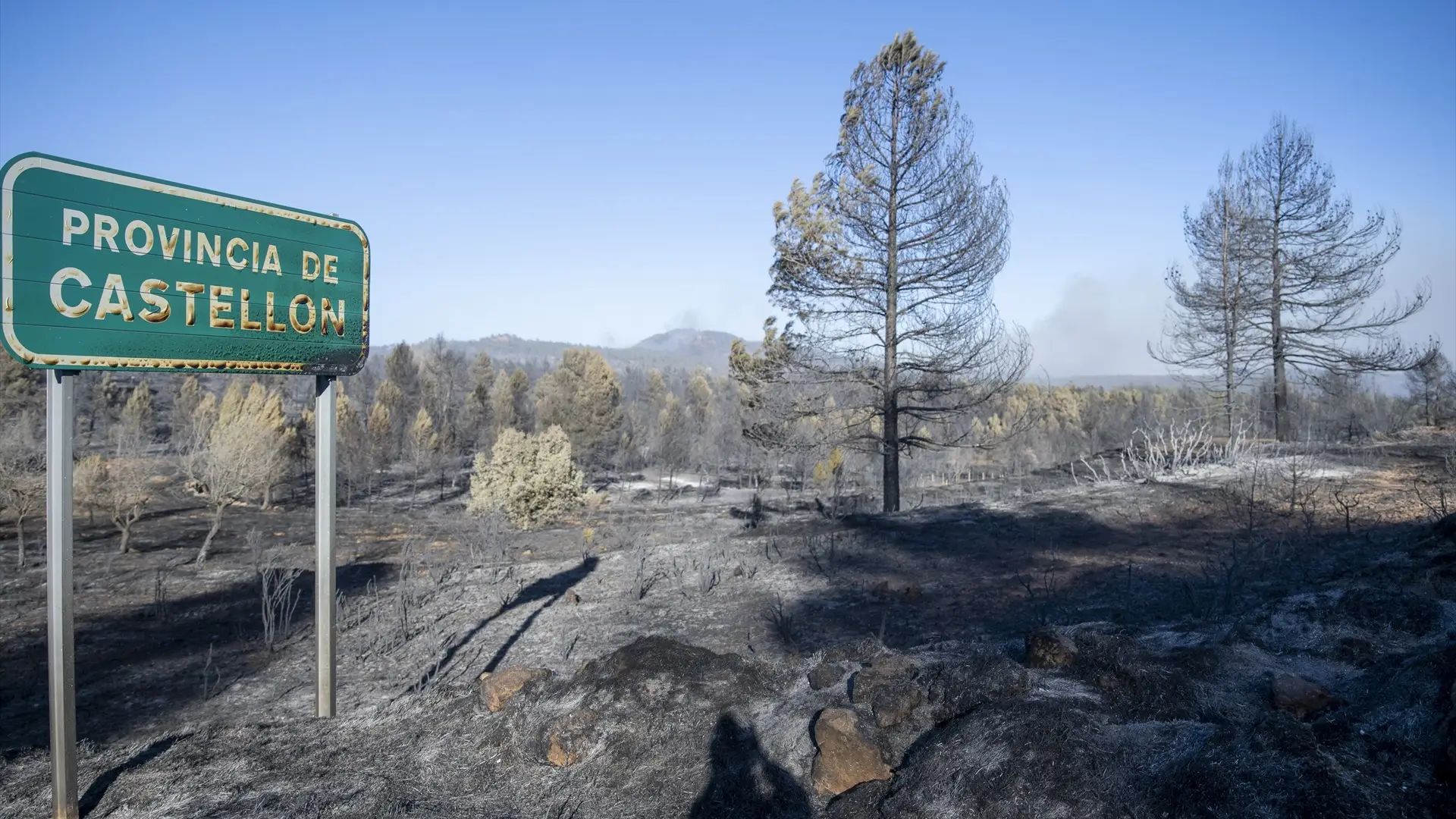 Zona calcinada por el incendio de Castell&oacute;n
