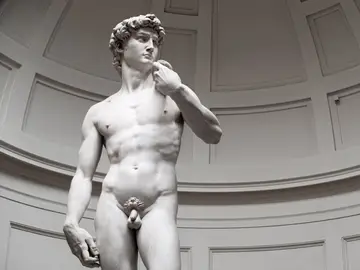El David de Miguel Ángel El David de Miguel Ángel
