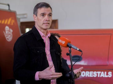 Pedro Sánchez en Castellón