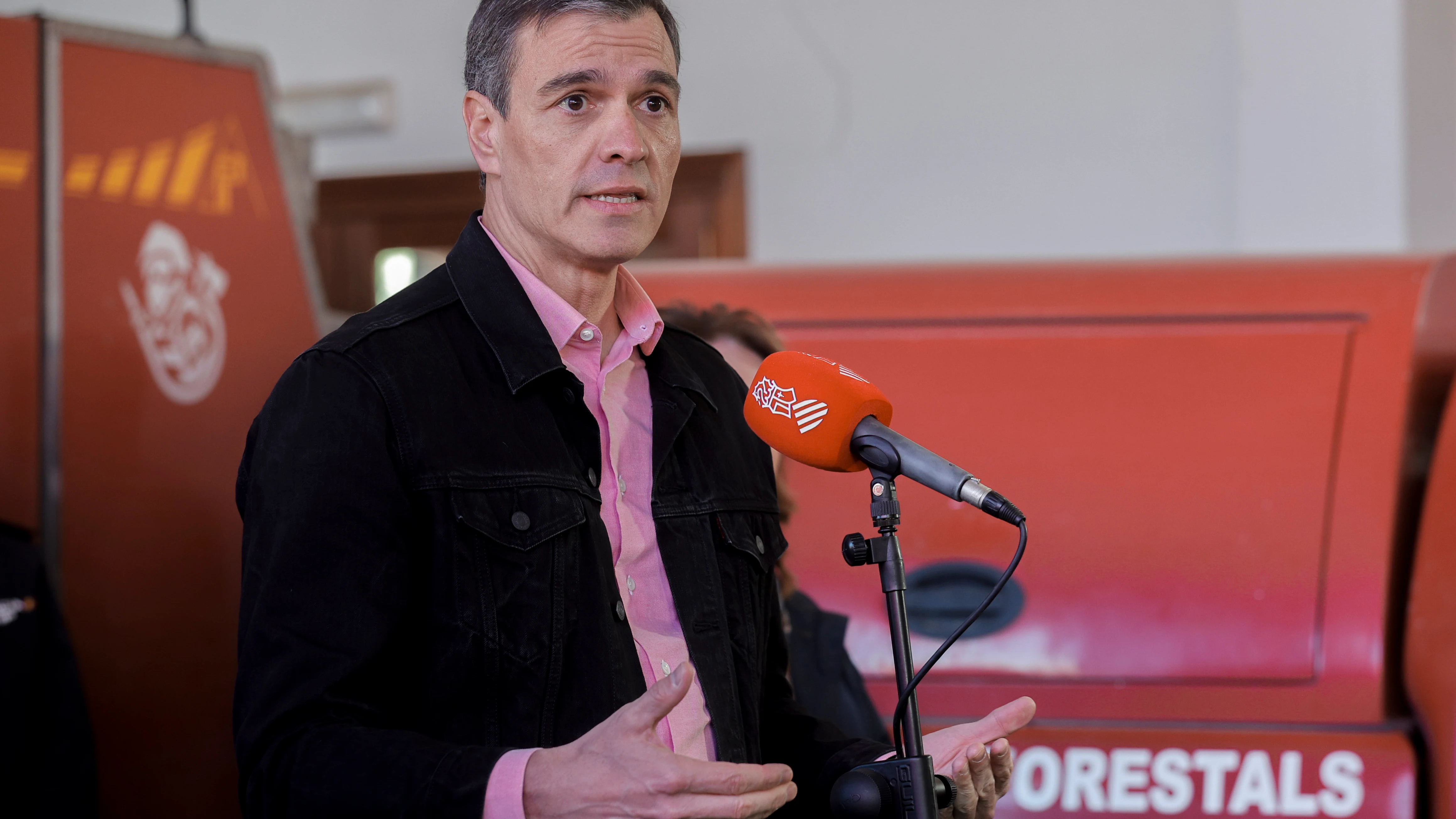 Pedro S&aacute;nchez en Castell&oacute;n