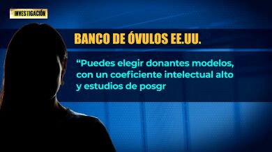 El variado catálogo de óvulos: toda una oferta para la gestación subrogada con abanico de perfiles y precios
