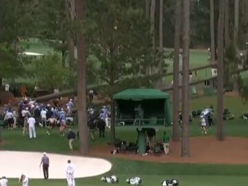 Momento en el que tres pinos se caen en mitad del Masters de Augusta