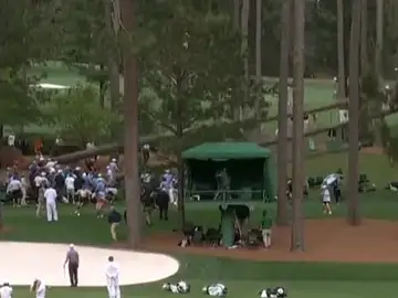 Momento en el que tres pinos se caen en mitad del Masters de Augusta Momento en el que tres pinos se caen en mitad del Masters de Augusta