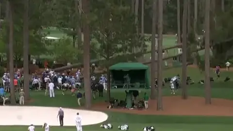 Momento en el que tres pinos se caen en mitad del Masters de Augusta Momento en el que tres pinos se caen en mitad del Masters de Augusta