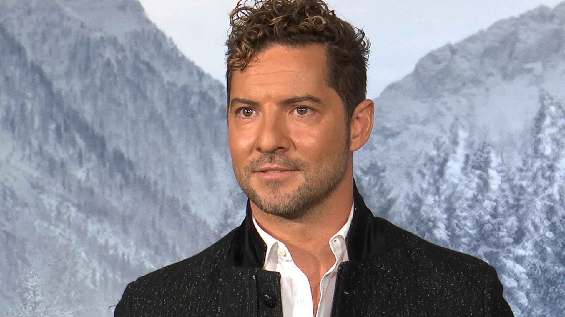 David Bisbal David Bisbal