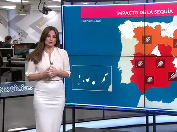 Mercedes Martín y las graves pérdidas por la sequía