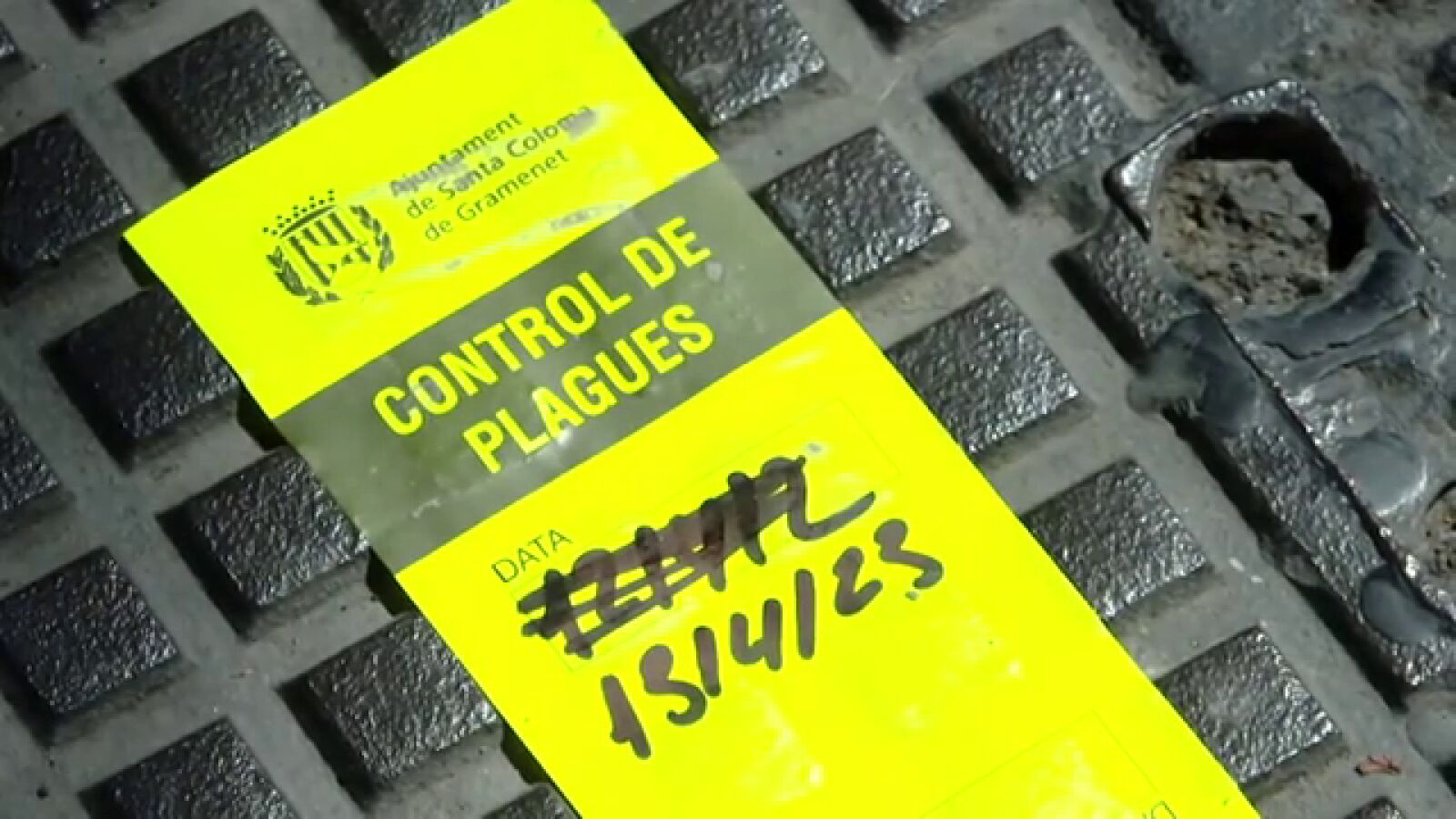 Sanitarios de Santa Coloma denuncian una plaga de cucarachas en su centro de salud: 
