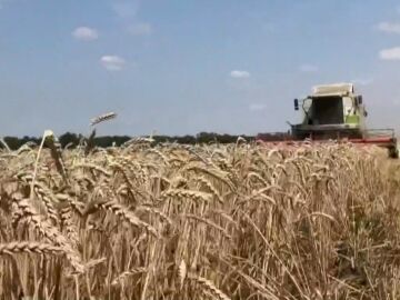 Polonia y Hungría anuncian que vetarán hasta junio la importación de grano y otros productos ucranianos