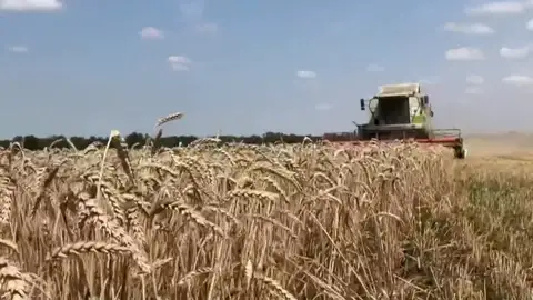 Polonia y Hungría anuncian que vetarán hasta junio la importación de grano y otros productos ucranianos Polonia y Hungría anuncian que vetarán hasta junio la importación de grano y otros productos ucranianos