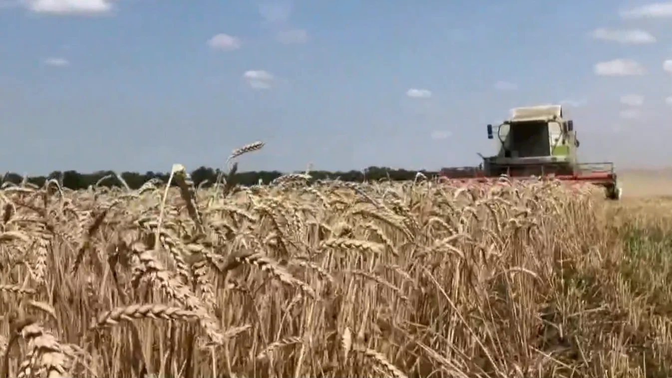Polonia y Hungr&iacute;a anuncian que vetar&aacute;n hasta junio la importaci&oacute;n de grano y otros productos ucranianos