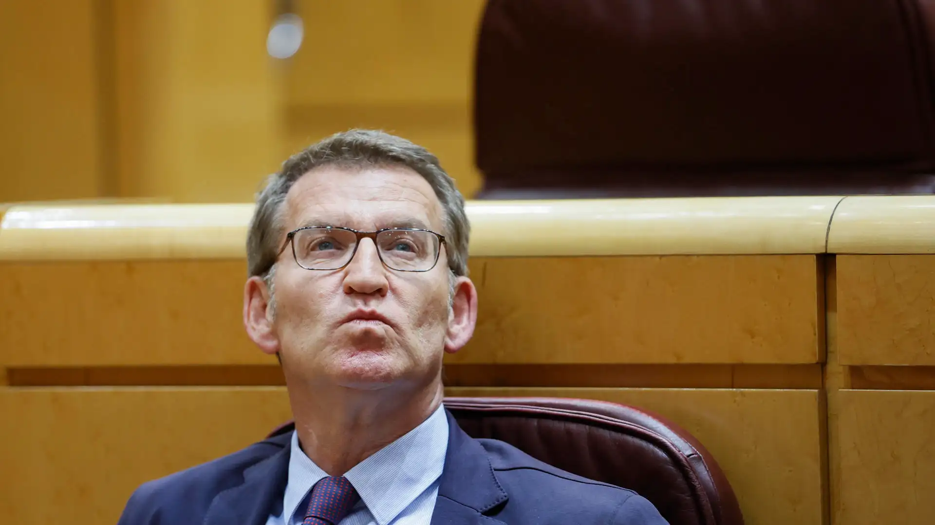 El líder del PP, Alberto Núñez Feijóo El líder del PP, Alberto Núñez Feijóo