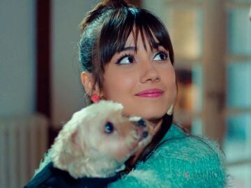 Alihan compra una casa para vivir con Zeynep… ¡Y varios cachorritos! 