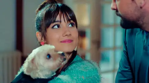 Alihan compra una casa para vivir con Zeynep… ¡Y varios cachorritos! 