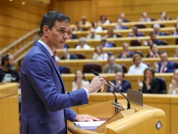 El presidente del Gobierno, Pedro Sánchez