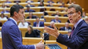 Pedro Sánchez y Alberto Núñez Feijóo